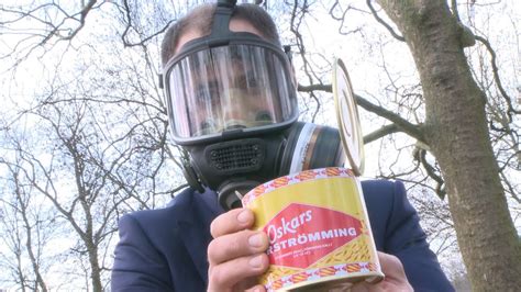 the smelliest fish in the world|Fermented smelly Swedish fish: Surströmming